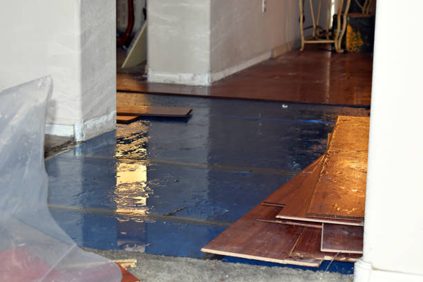 Professional Sewage Cleanup technician working in Gerton, NC